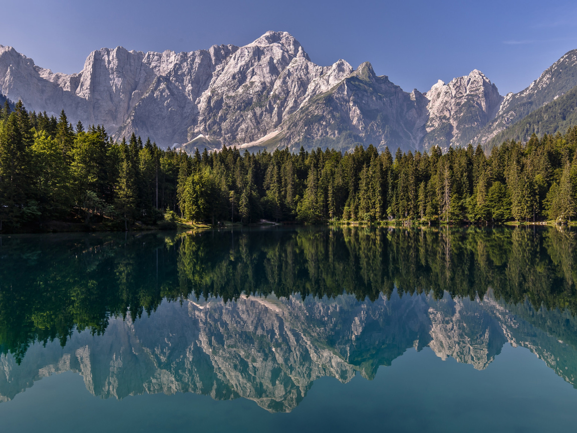 Зеленый хвойный лес и горы отражаются в воде 