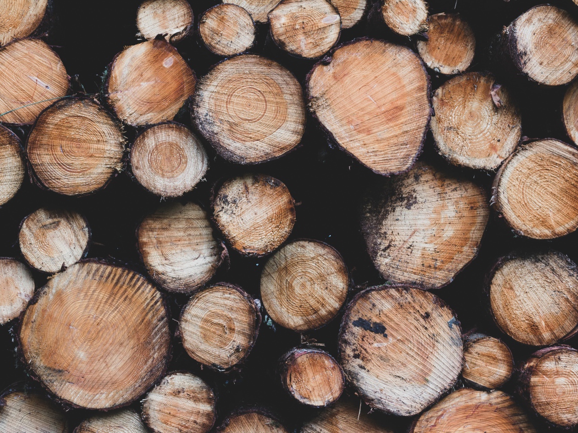 Заготовка дров к суровой зиме