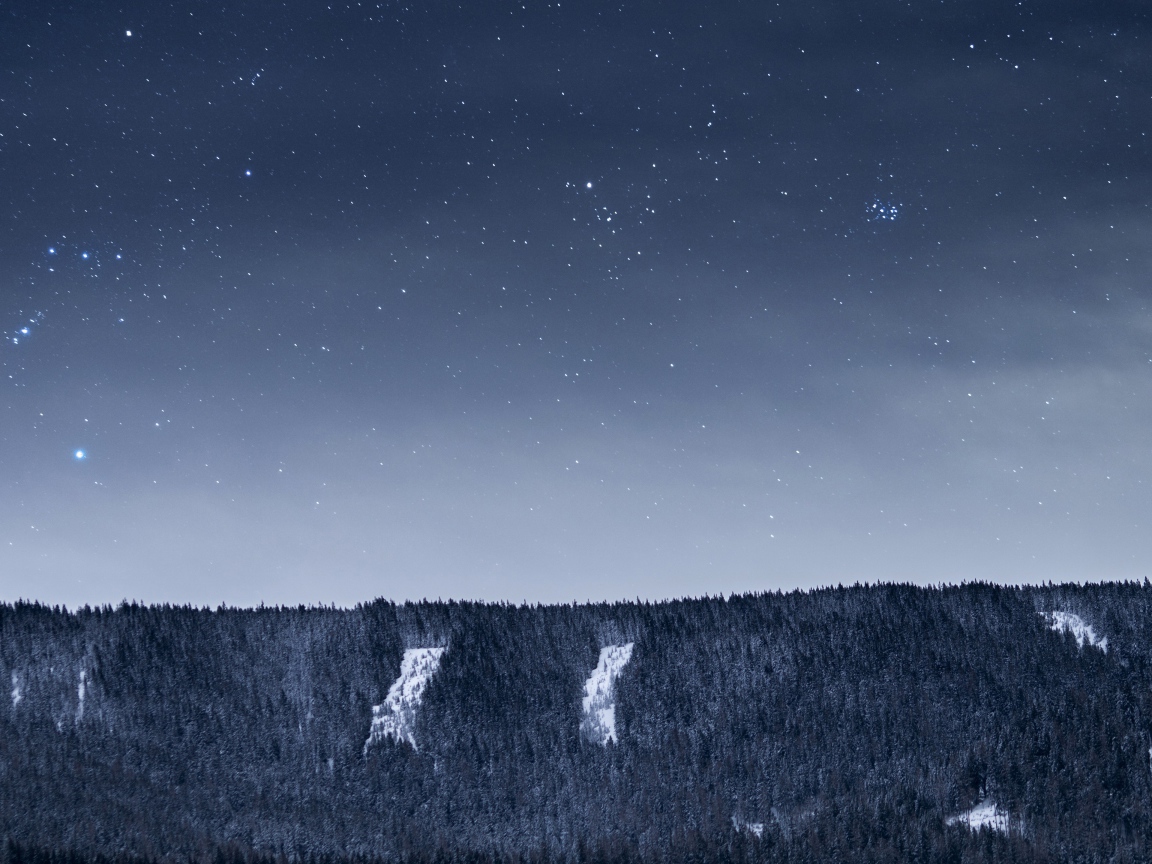 Вид на ночное небо со звездами над лесом
