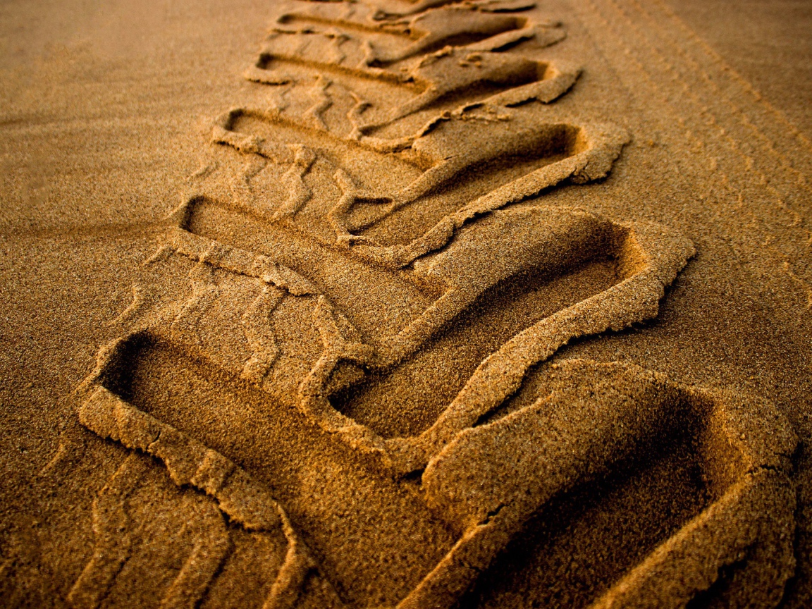 След от колеса трактора на мокром песке