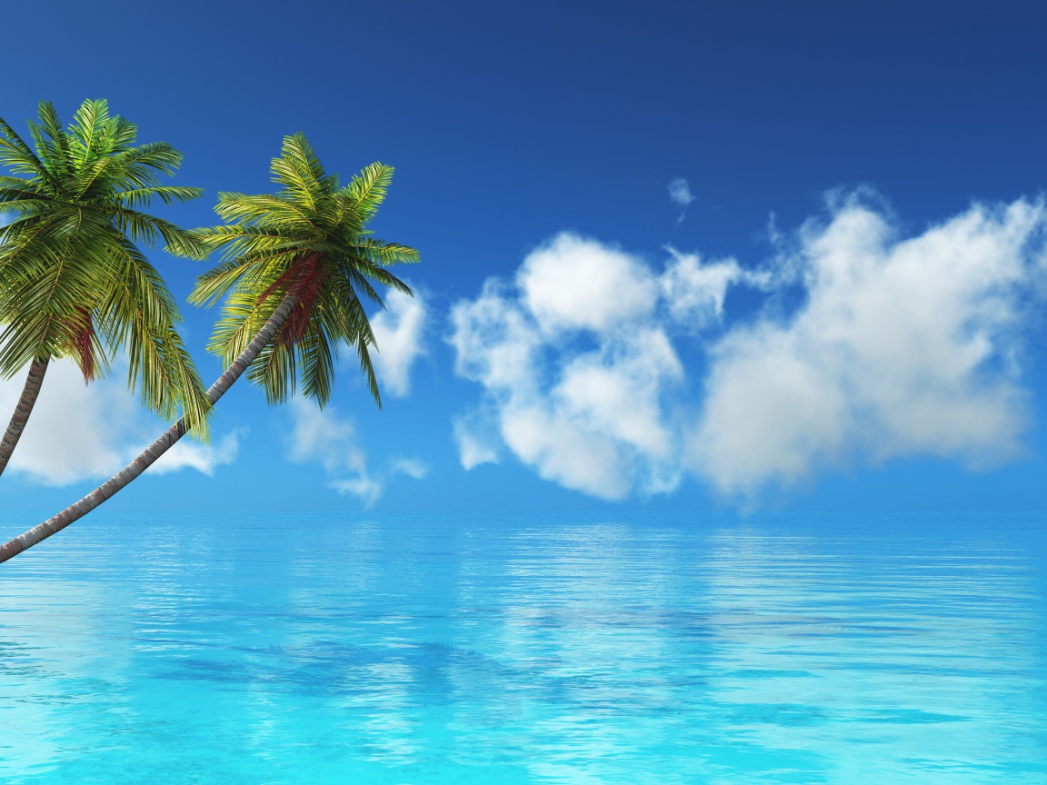 Две пальмы в голубом океане на фоне неба 