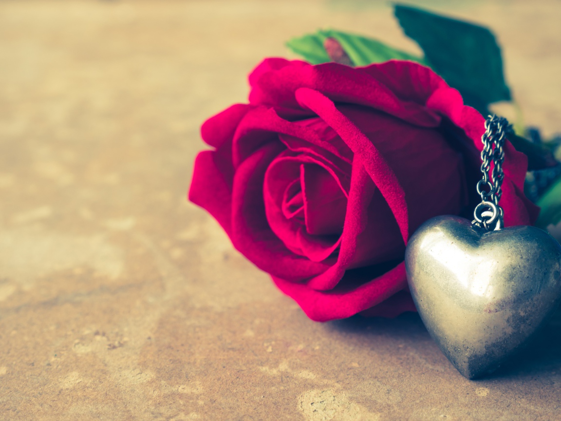 Искусственная роза с кулоном на столе