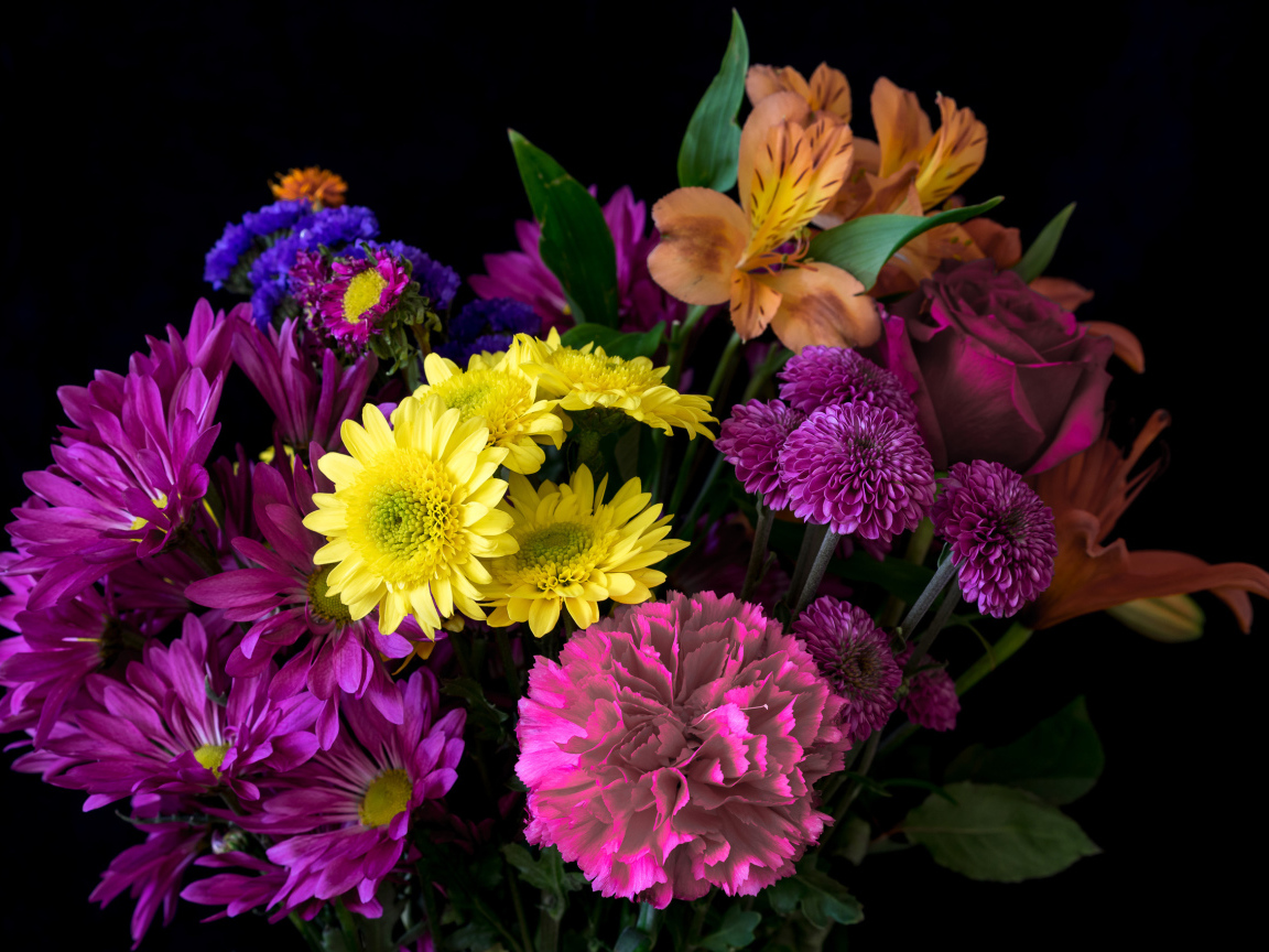 Букет разноцветных цветов на черном фоне крупным планом