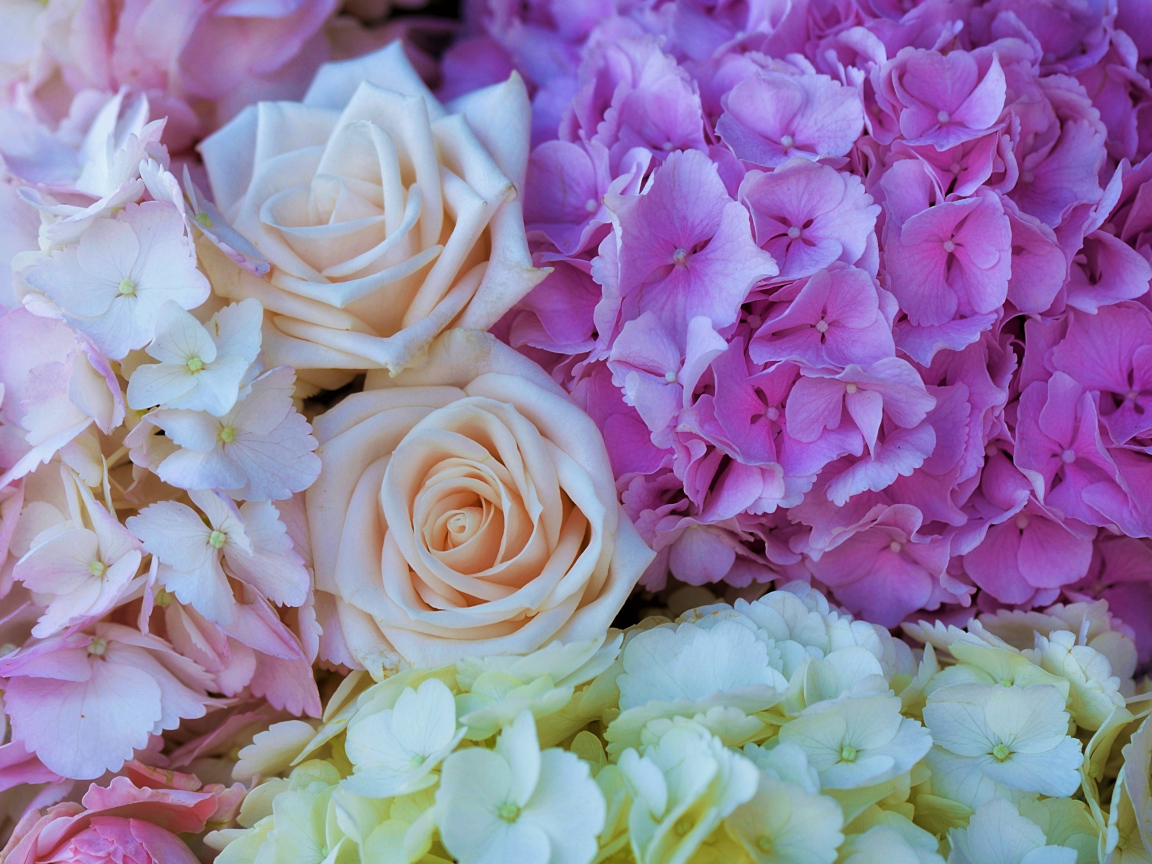 Букет из цветов гортензии и розы крупным планом