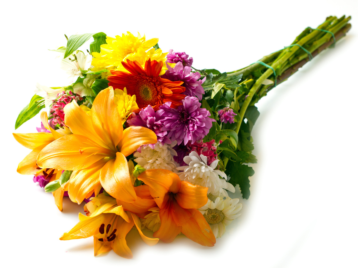 Букет из цветов лилии,герберы и хризантемы на белом фоне