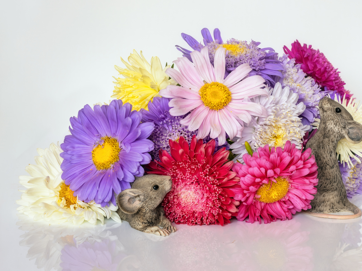 Букет разноцветных цветов астры с фигурками мышей