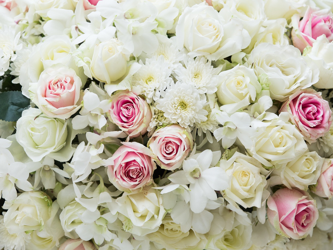 Букет розовых и белых роз с цветами хризантемы