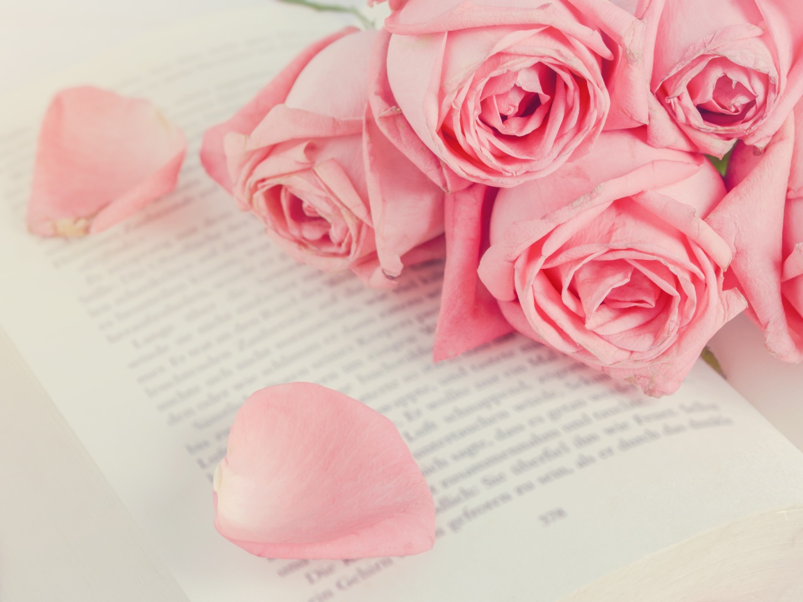 Букет розовых роз на книге