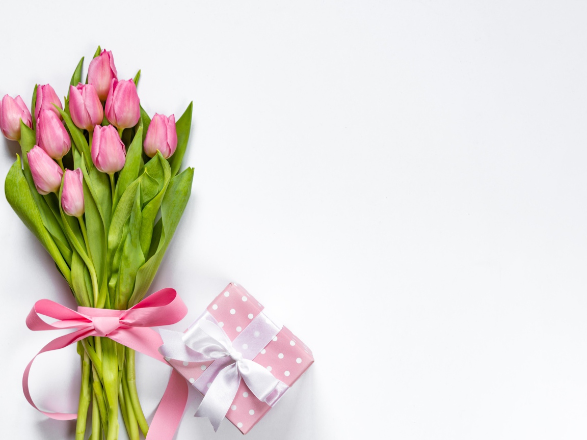 Букет розовых тюльпанов с бантом на белом фоне с подарком