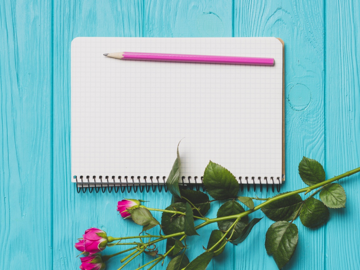 Ветка с розами на голубом фоне с блокнотом и карандашом