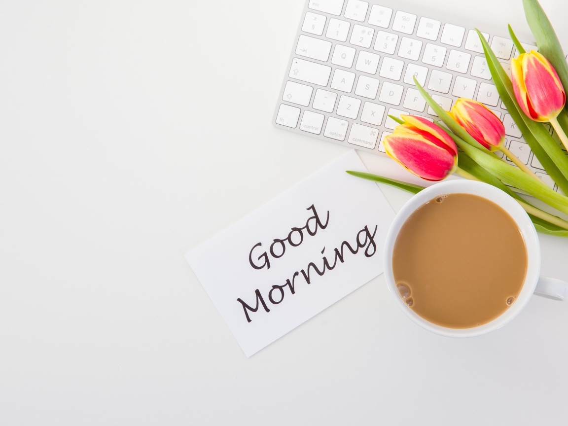 Ноутбук с букетом тюльпанов и какая и надписью с Добрым утром