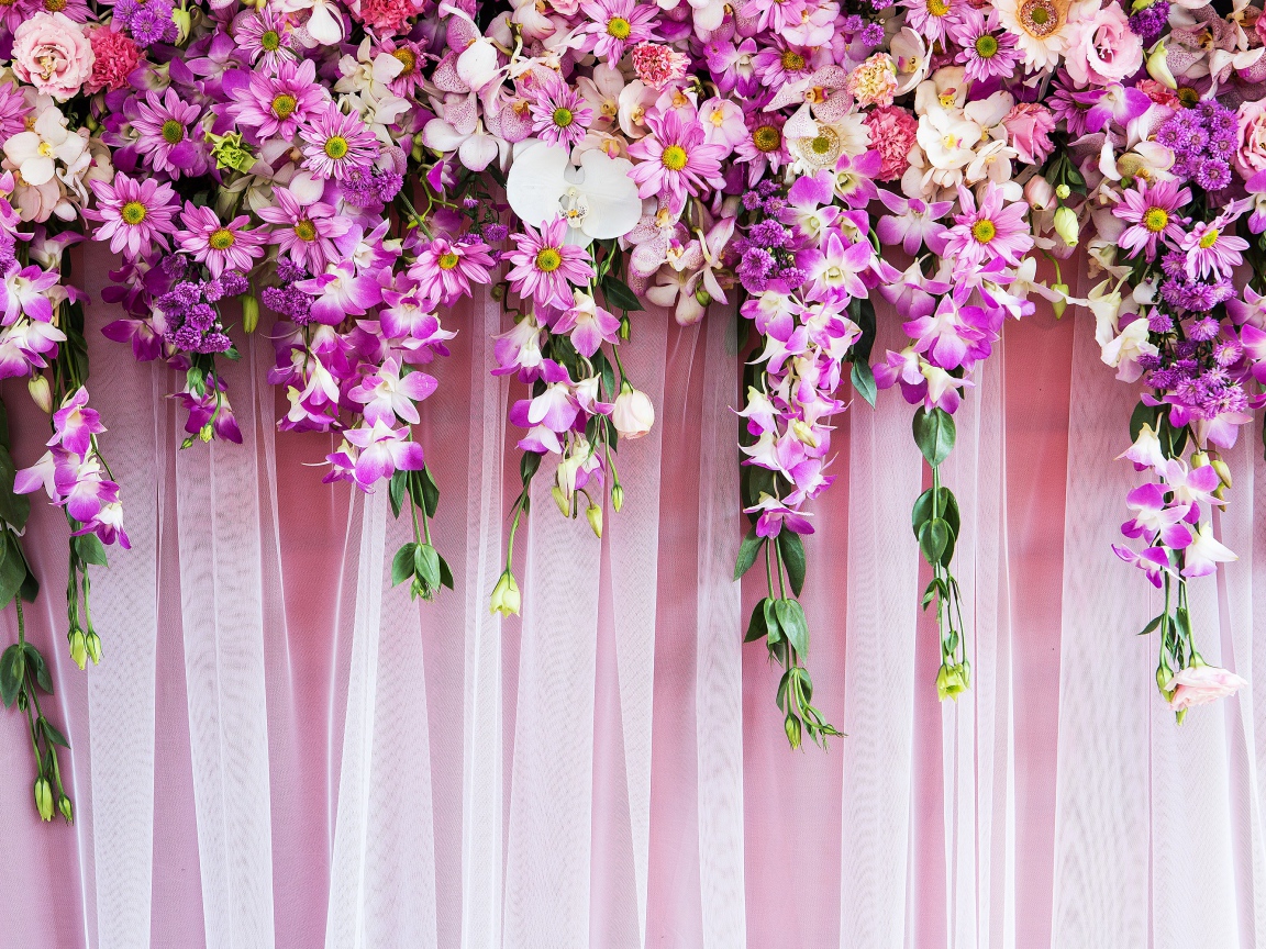 Розовые  живые цветы висят на стене 