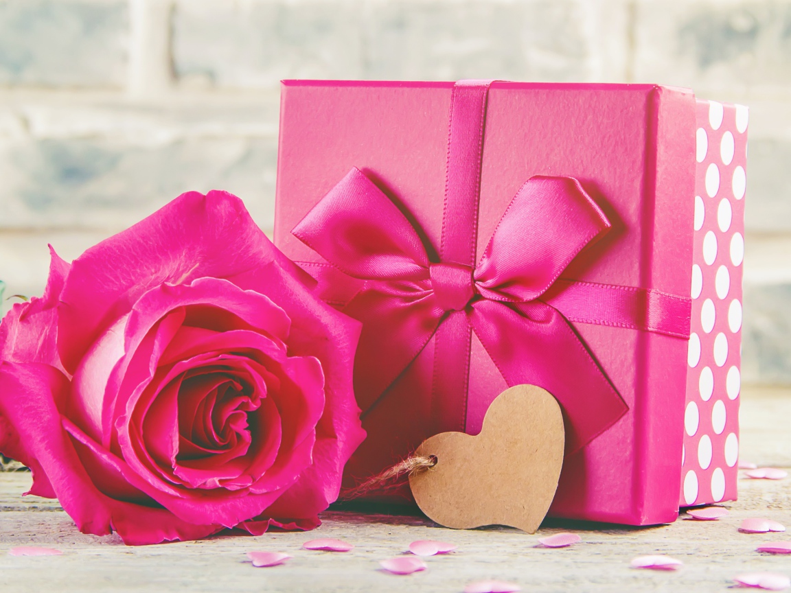 Розовая роза на столе с большим подарком с бантом