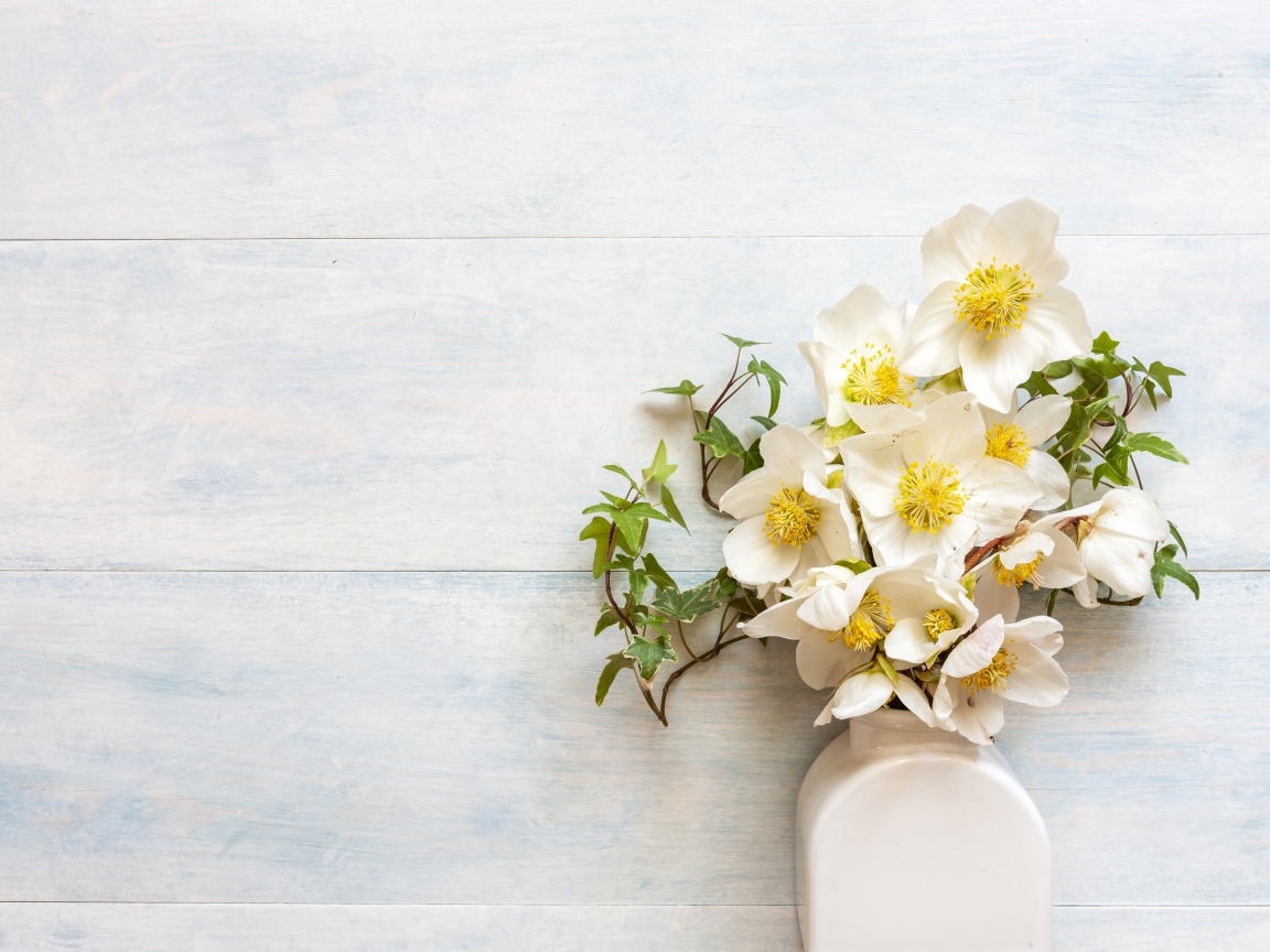 Белые цветы морозника в вазе у стены