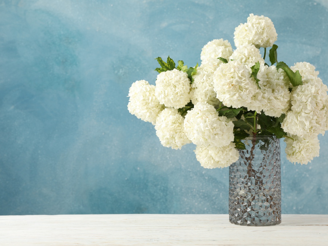 Белые цветы гортензии в стеклянной вазе на столе 
