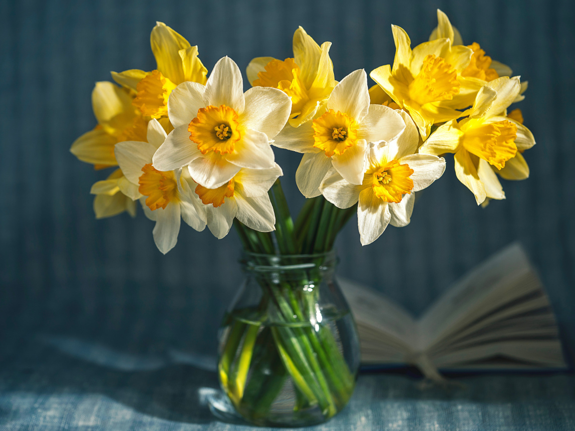 Желтые и белые нарциссы в стеклянной банке на столе 