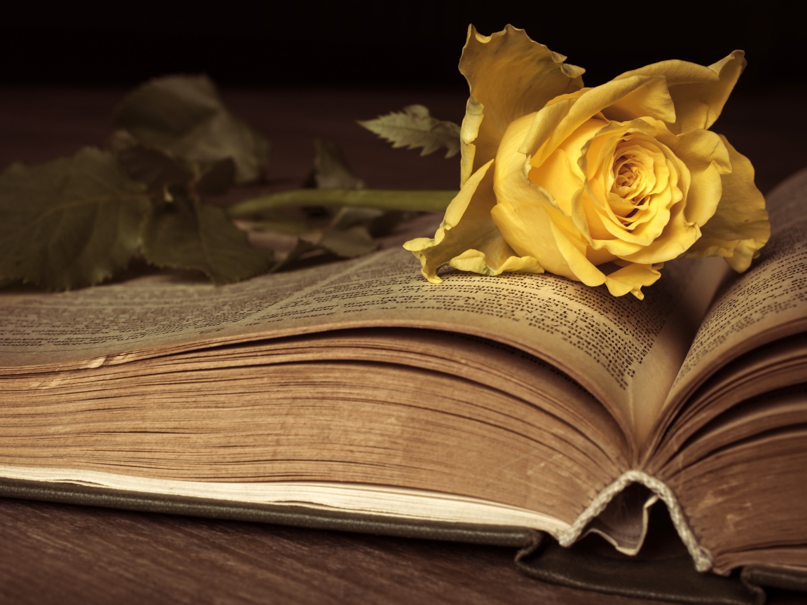 Желтая книга лежит на старой книге 