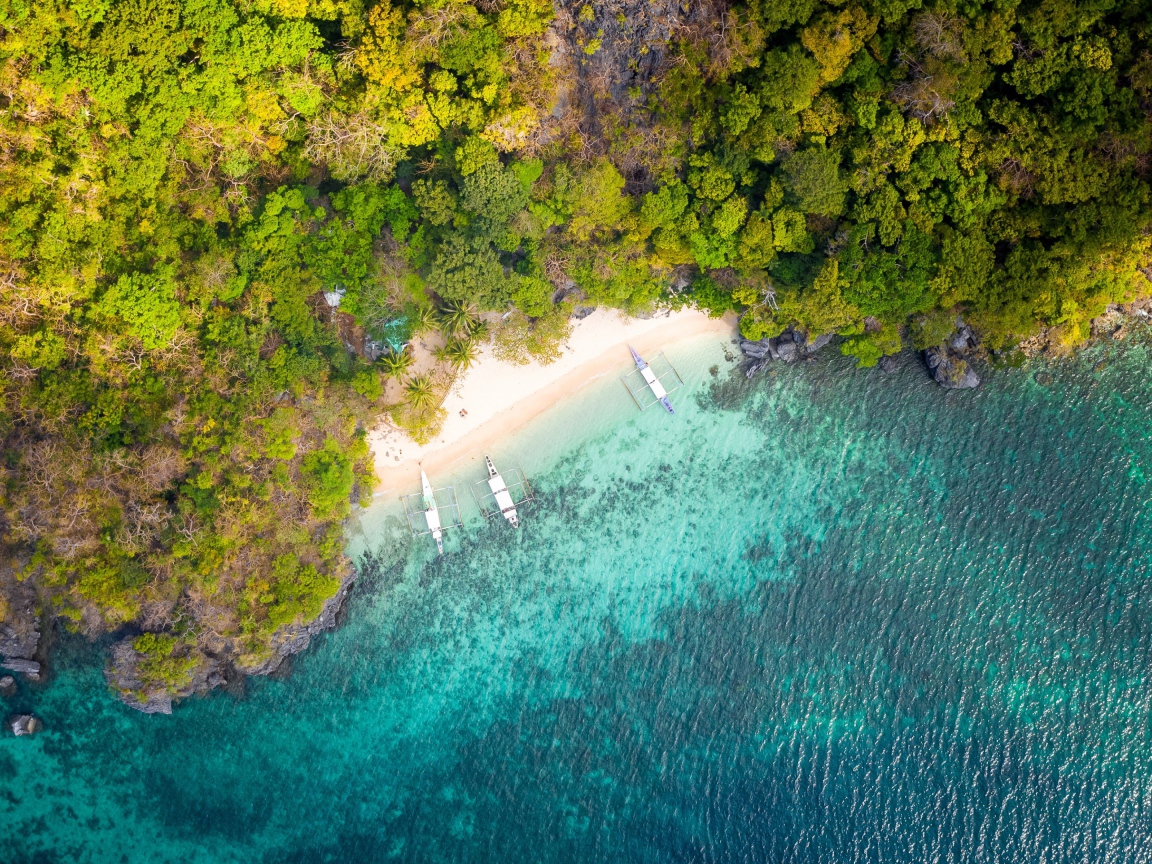 Вид на голубую воду и лес сверху 