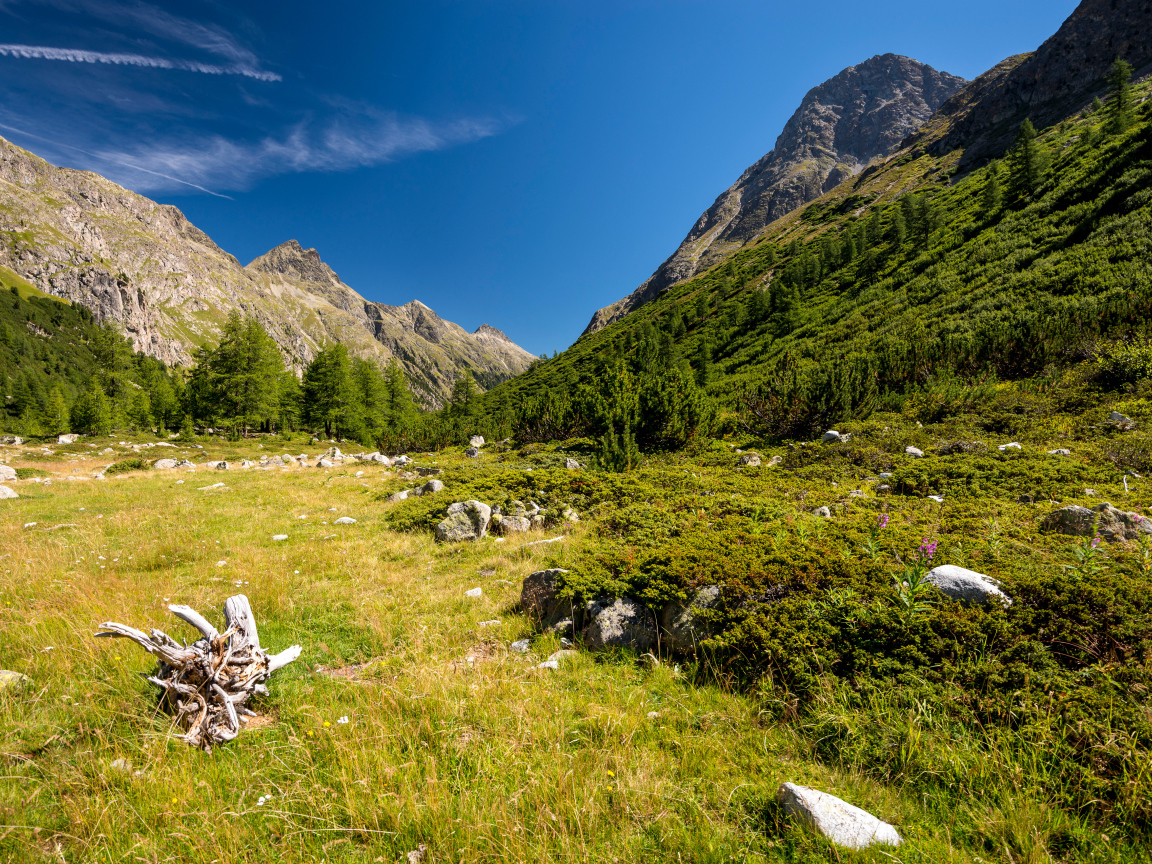 Красивый вид на покрытые зеленью горы под голубым небом