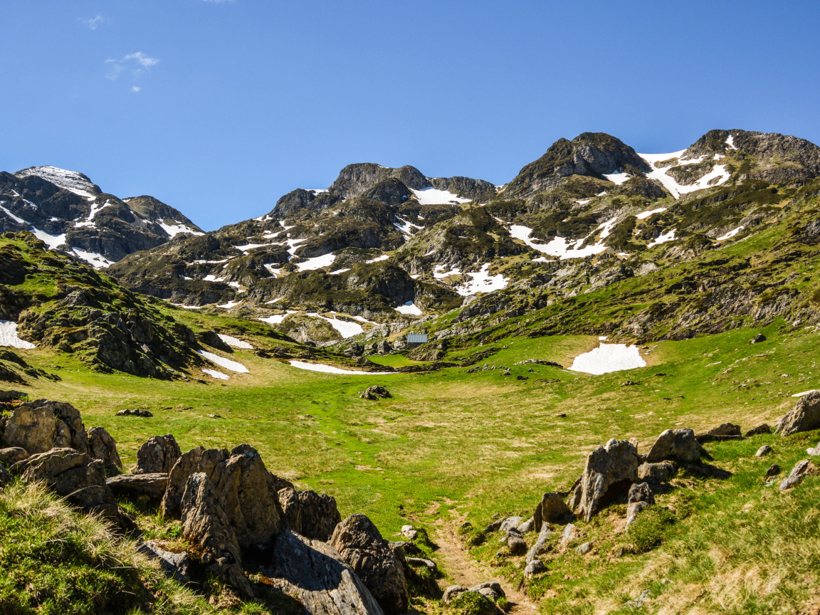Зеленая трава у подножия заснеженных гор 