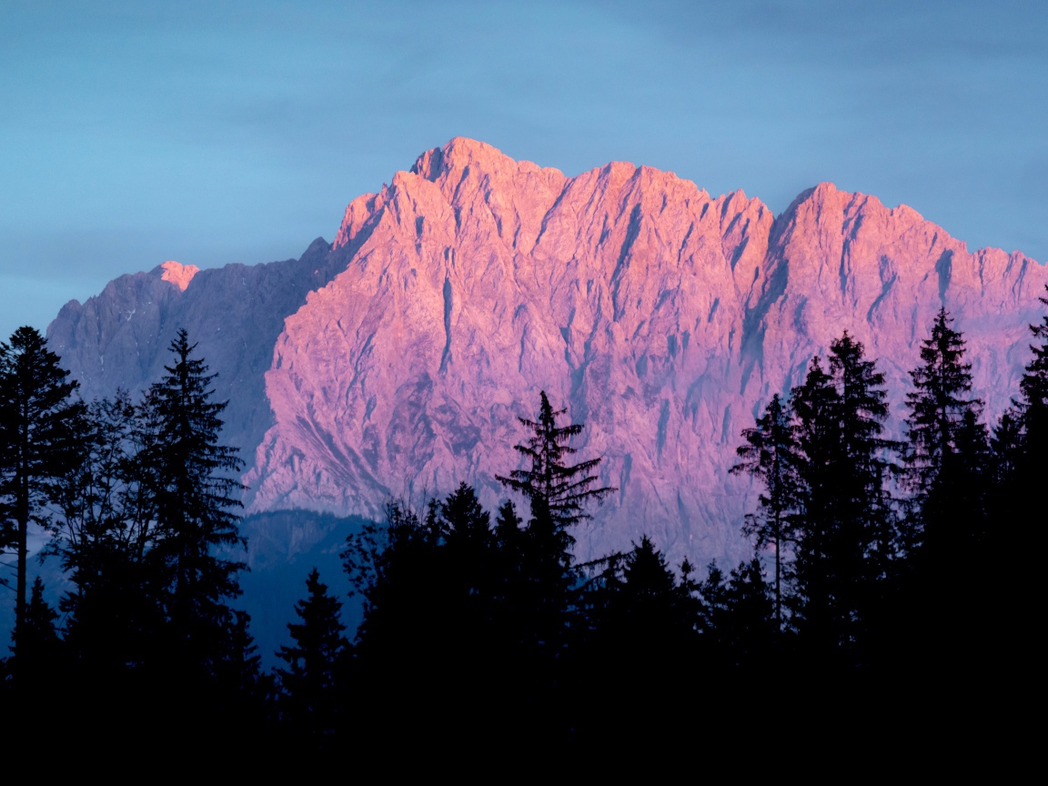 Высокие горы в лучах солнца у хвойного леса 