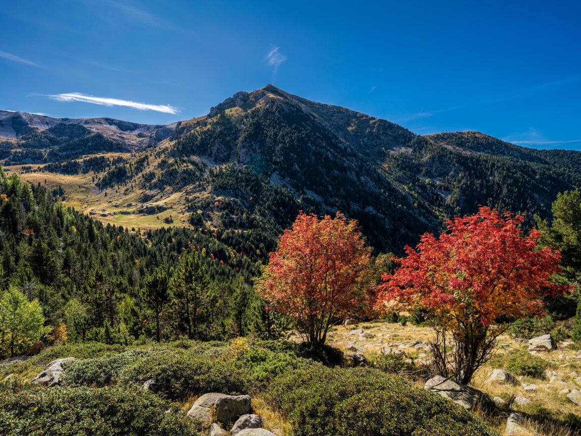 Вид на гору под голубым небом