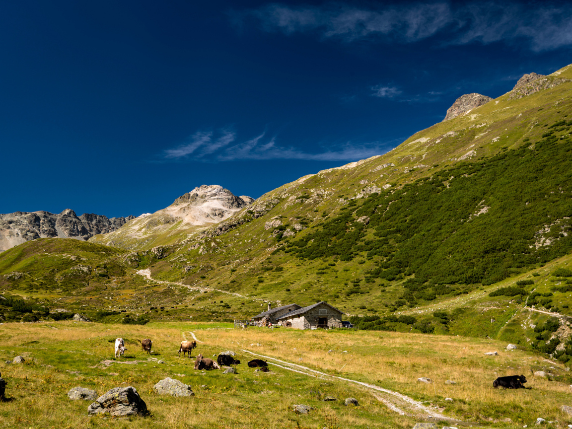 Поселение у покрытых зеленью гор под голубым небом