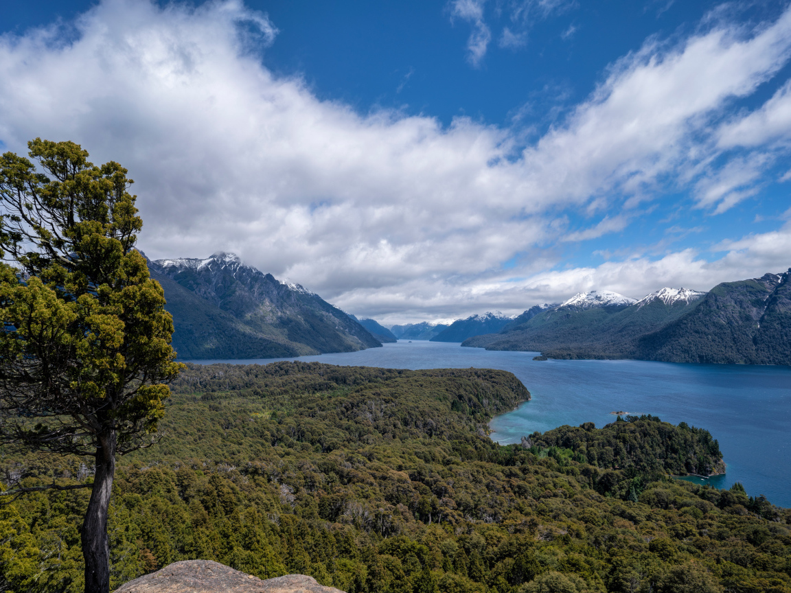 Красивый вид на реку под голубым небом с белыми облаками