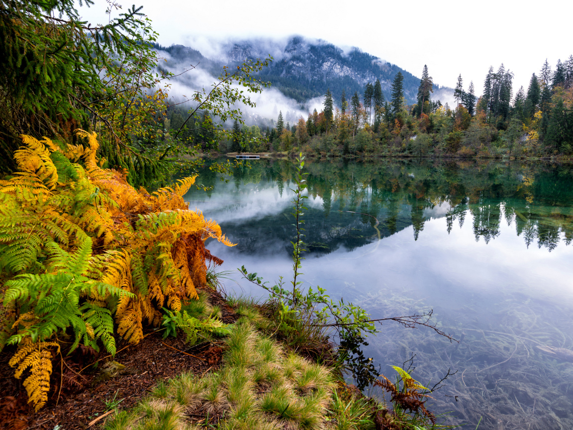 Туман покрывает горы у спокойного озера на рассвете 