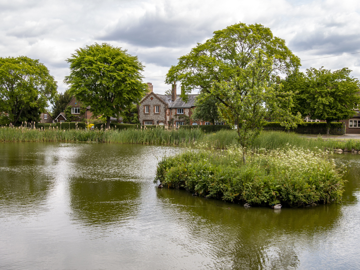 Улица с прудом и зеленой растительностью 