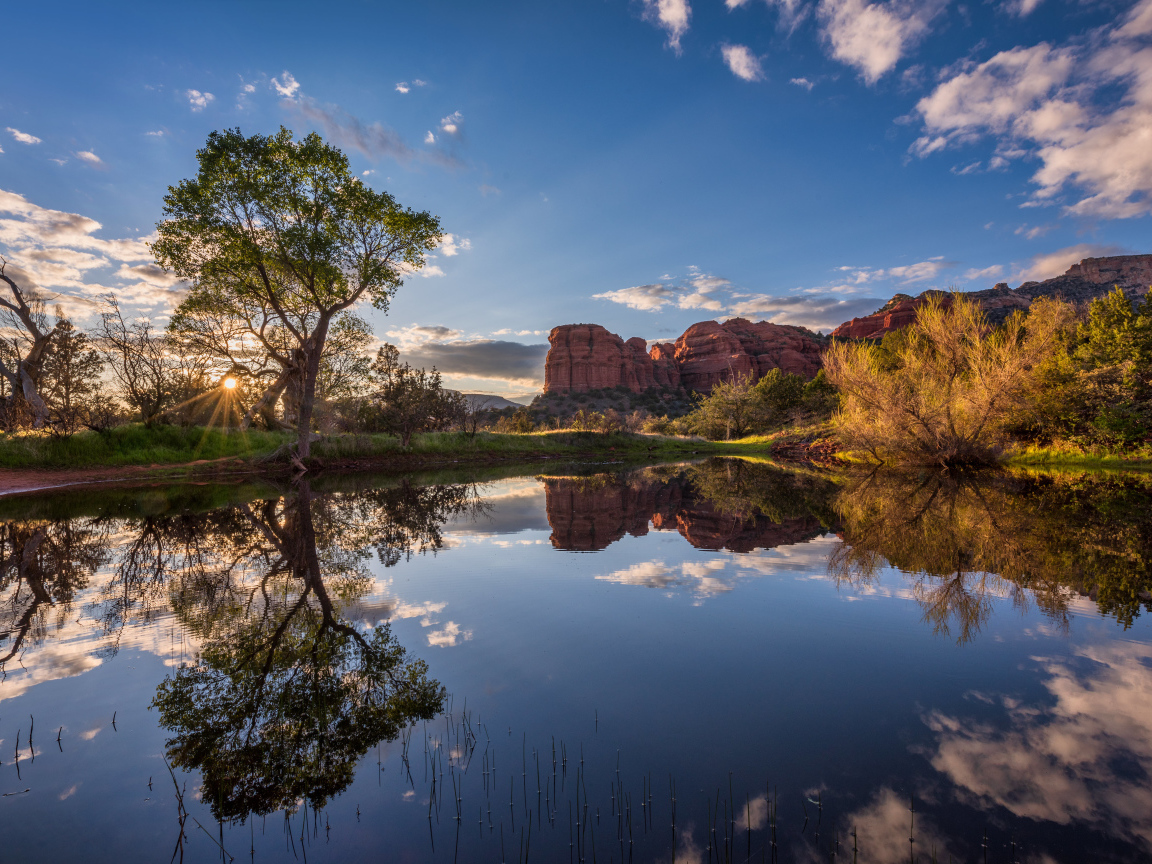 Яркое солнце пробивается сквозь деревья у пруда