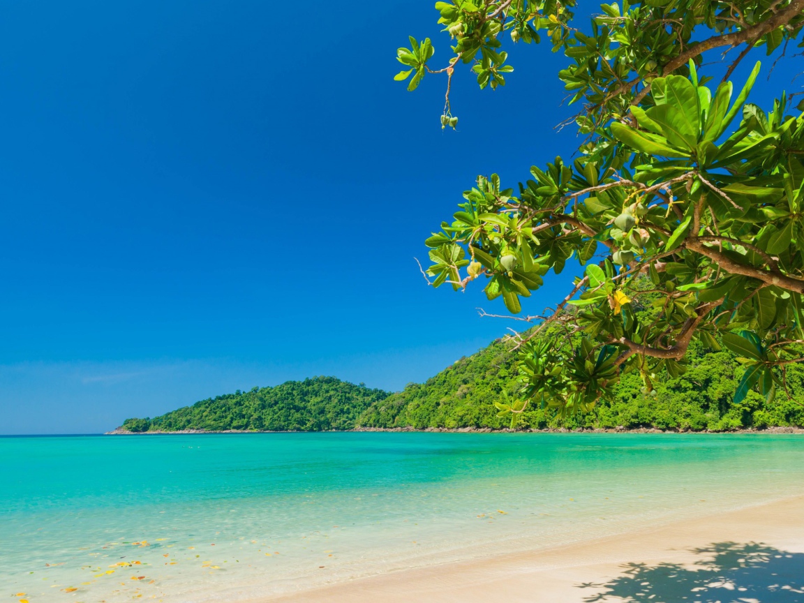 Голубая вода океана на тропическом пляже с белым песком