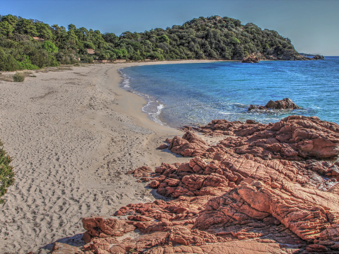 Камни на берегу моря у леса 