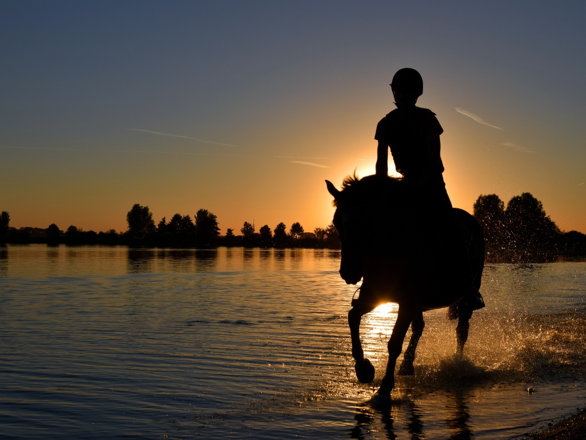 Девушка на лошади скачет по воде на фоне заката