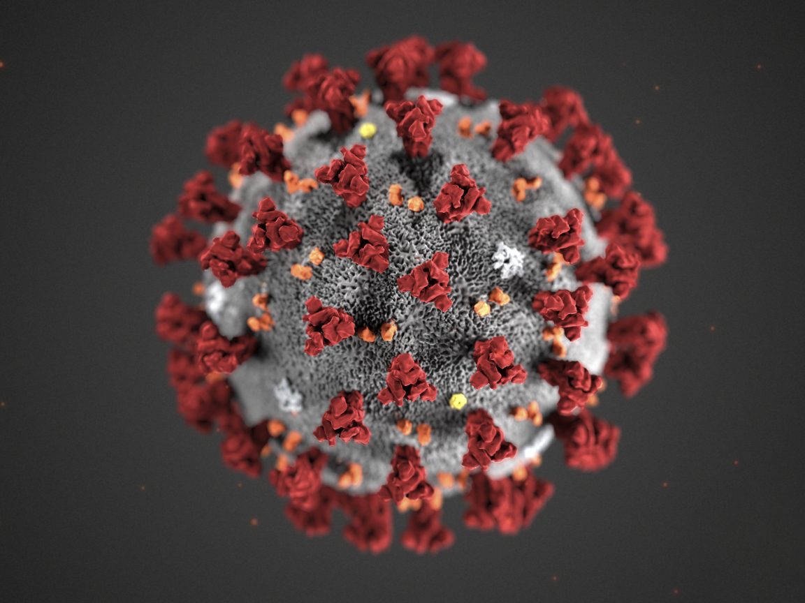 Коронавирус COVID-19 на сером фоне