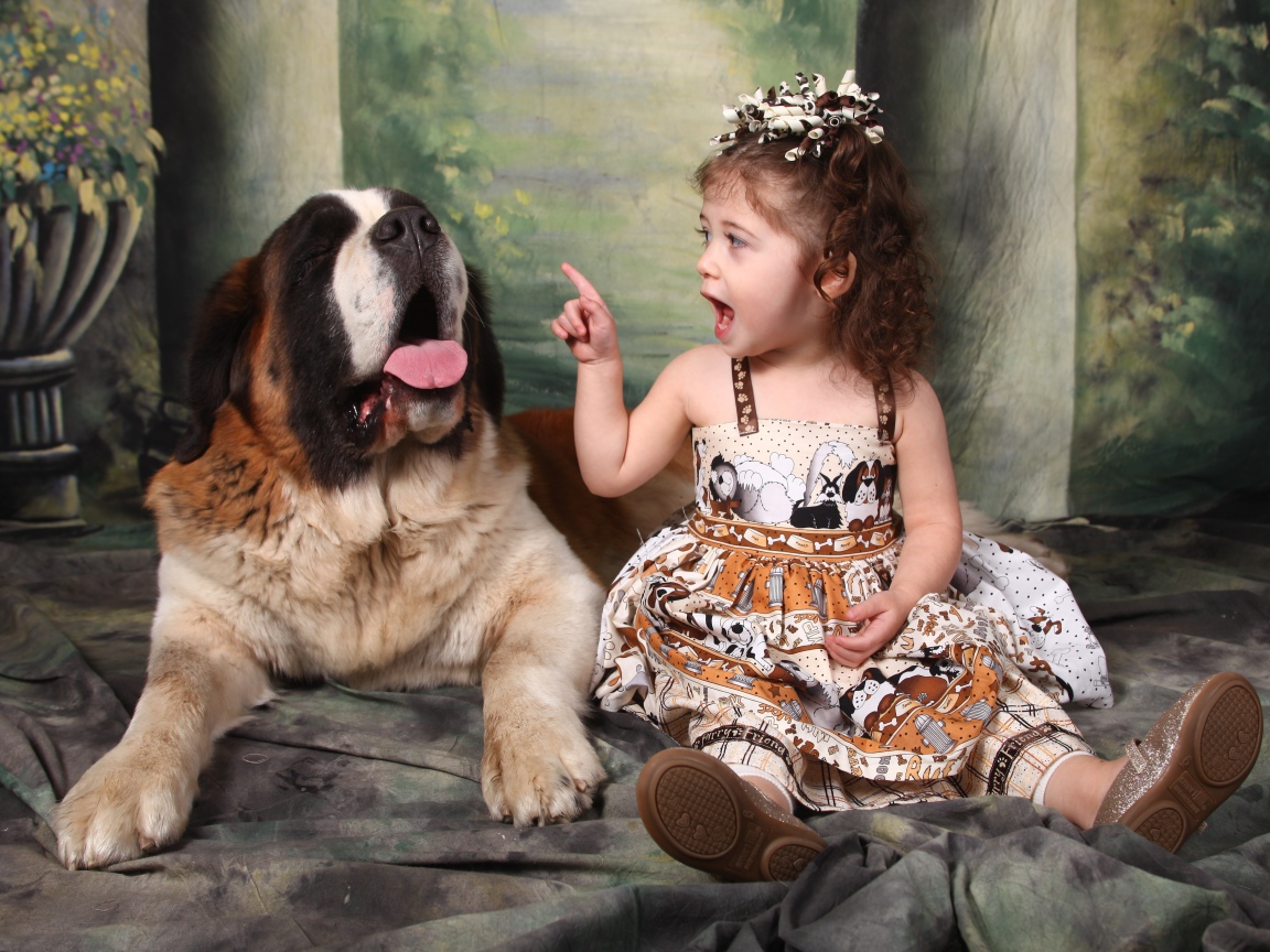 Маленькая красивая девочка с собакой породы сенбернар
