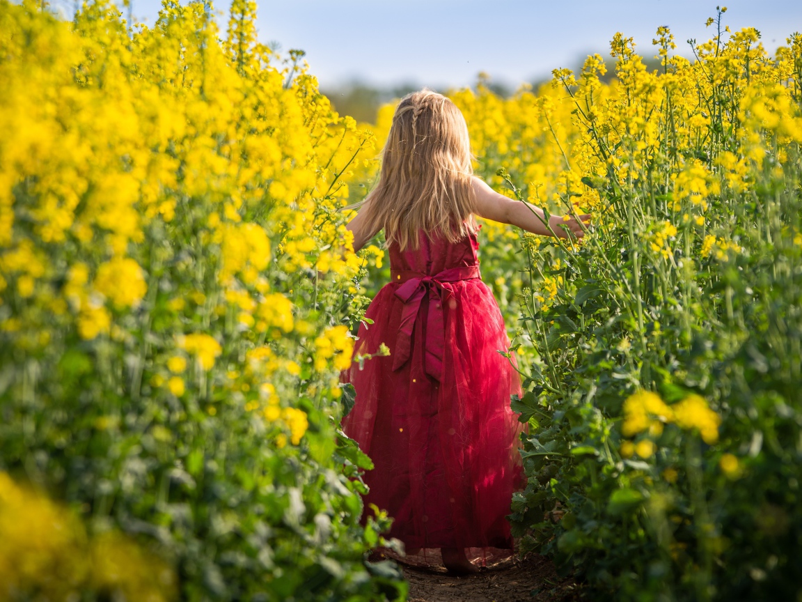 Маленькая девочка идет по полю с желтыми цветами