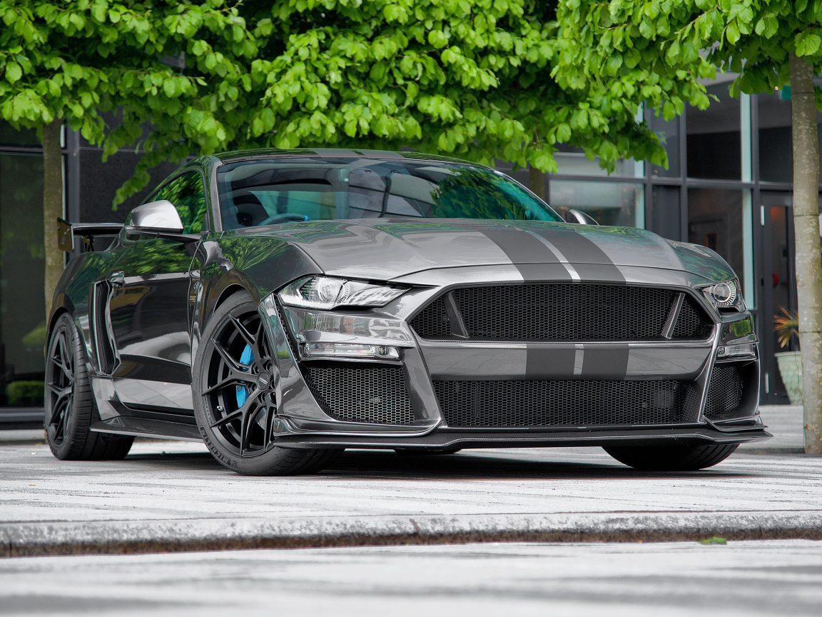 Быстрый дорогой автомобиль Ford Mustang CS850GT 2021 года