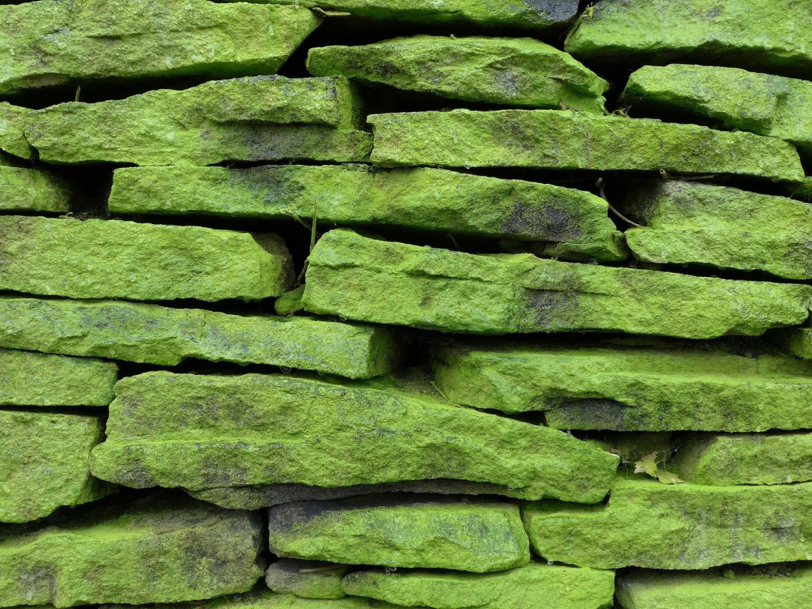 Зеленые покрытые мхом камни на стене, фон 