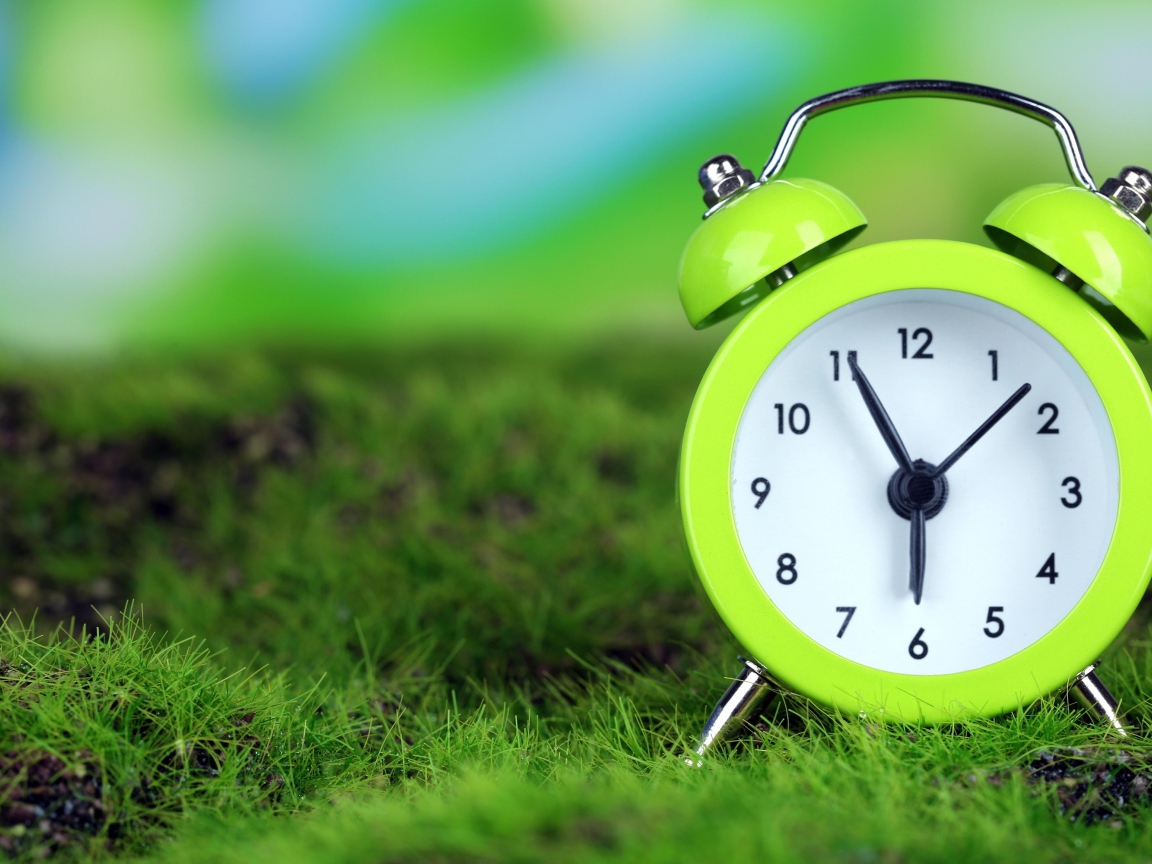 Зеленый будильник стоит на траве