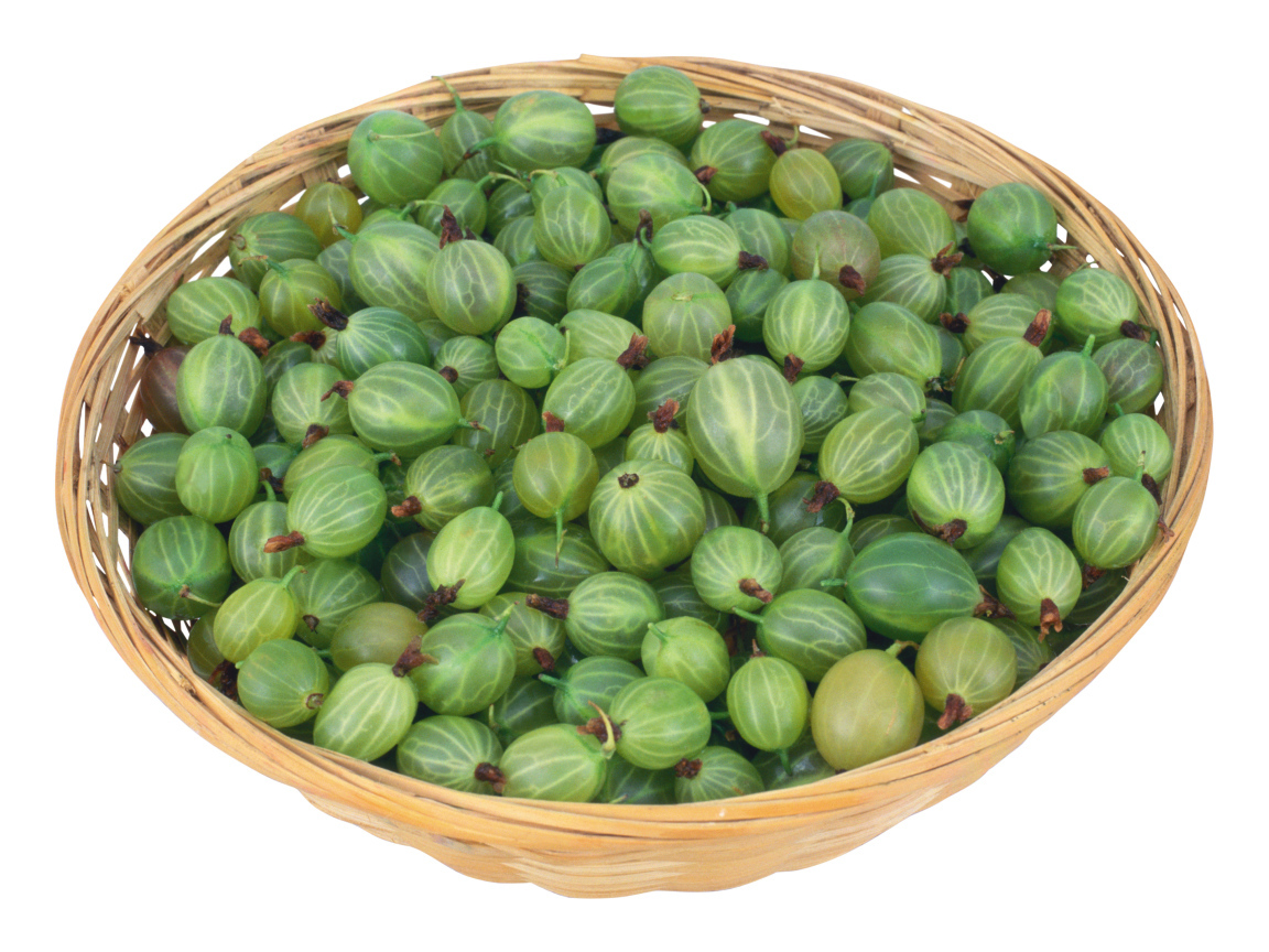 Зеленый крыжовник в корзинке на белом фоне