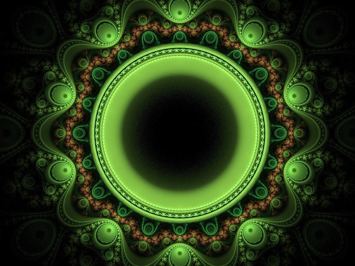 Зеленый лайм на ветке в каплях воды