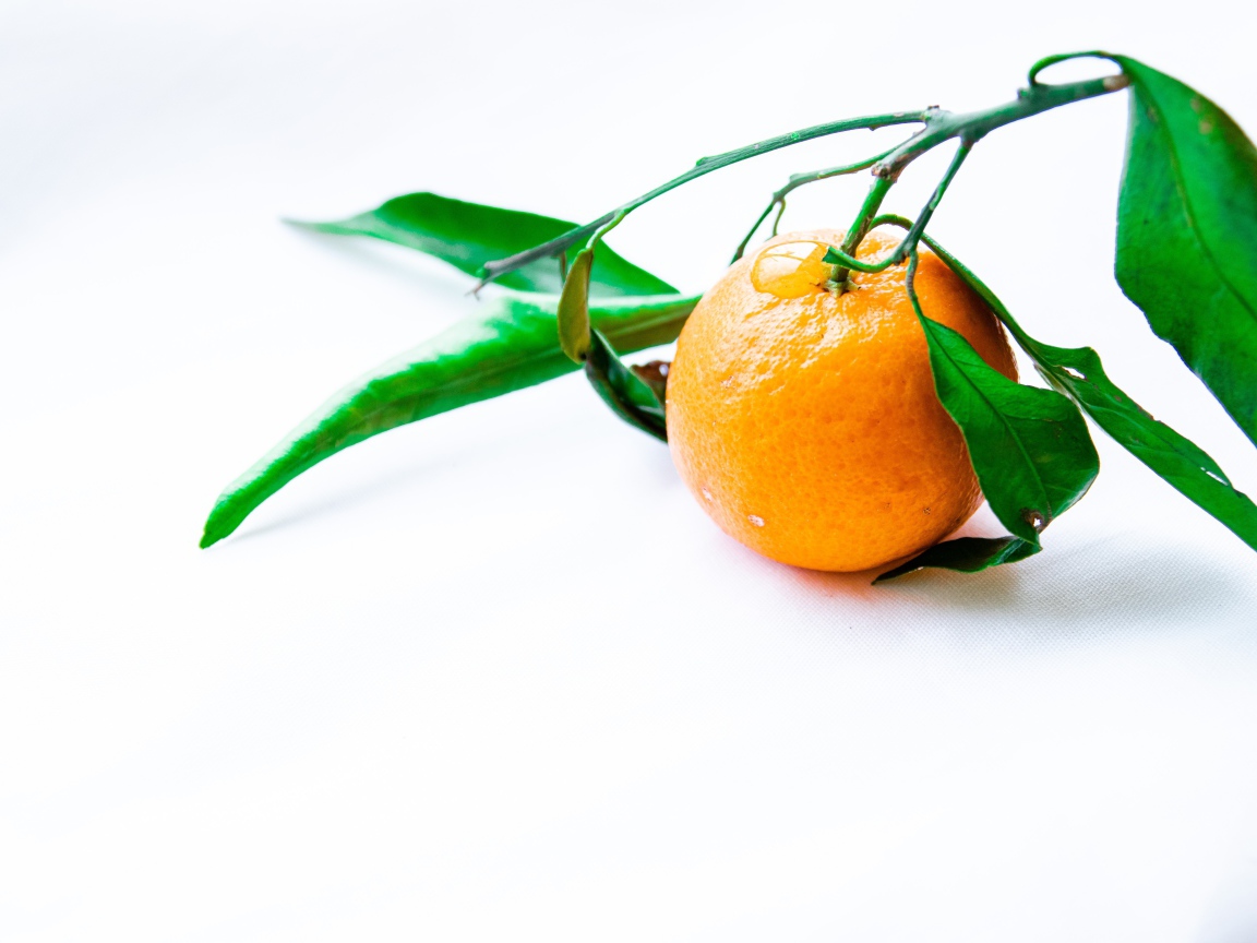 Оранжевый мандарин с зелеными листьями на белом фоне