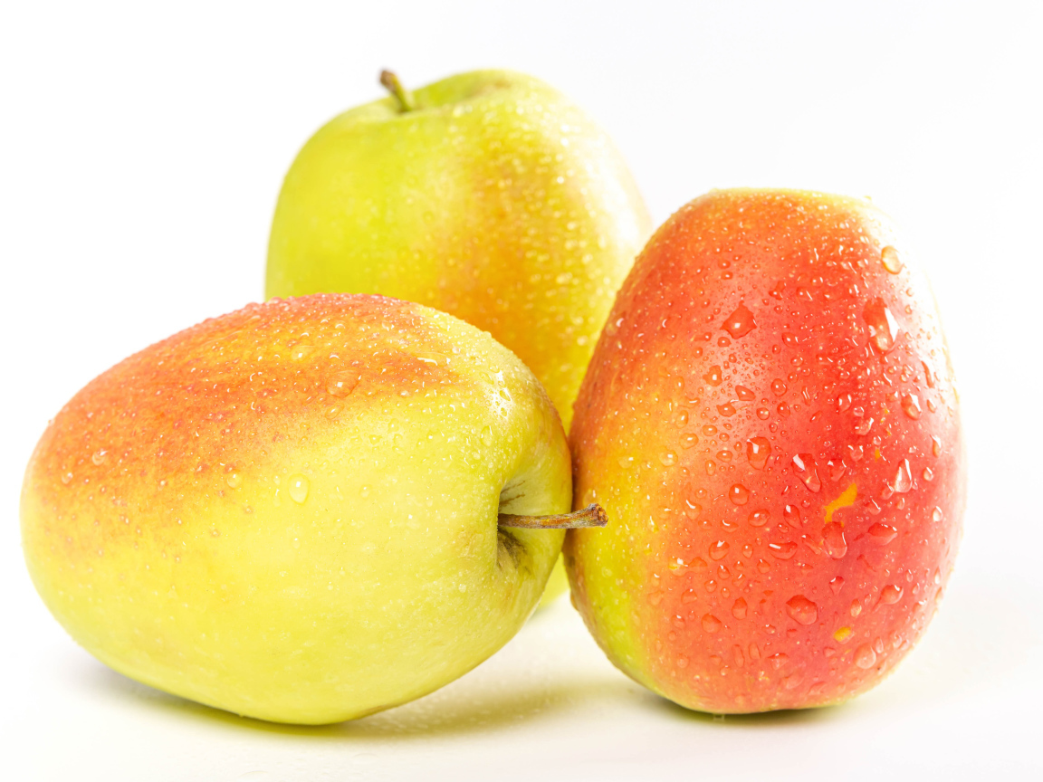 Три мокрых яблока на белом фоне
