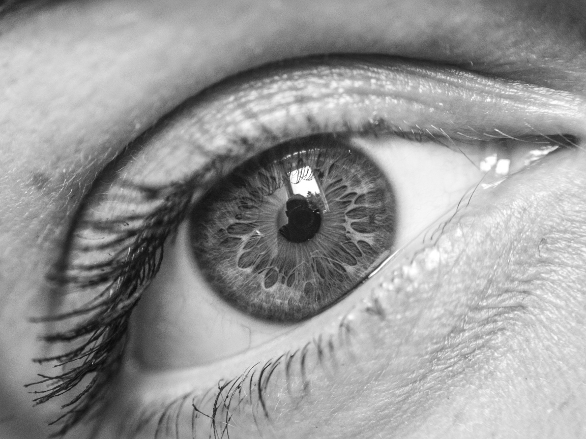 Красивый глаз девушки черно-белое фото