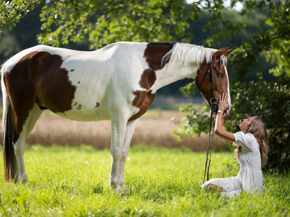 Девушка блондинка с лошадью на зеленой траве