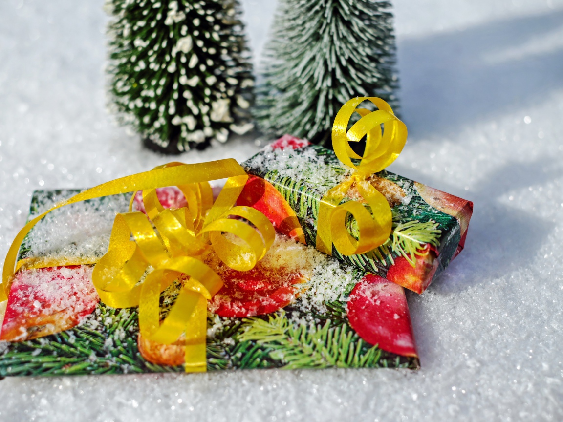 Два подарка с бантами на снегу 
