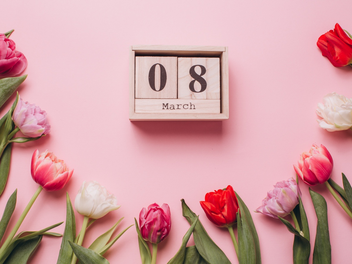 Тюльпаны с кубиками на розовом фоне на 8 марта