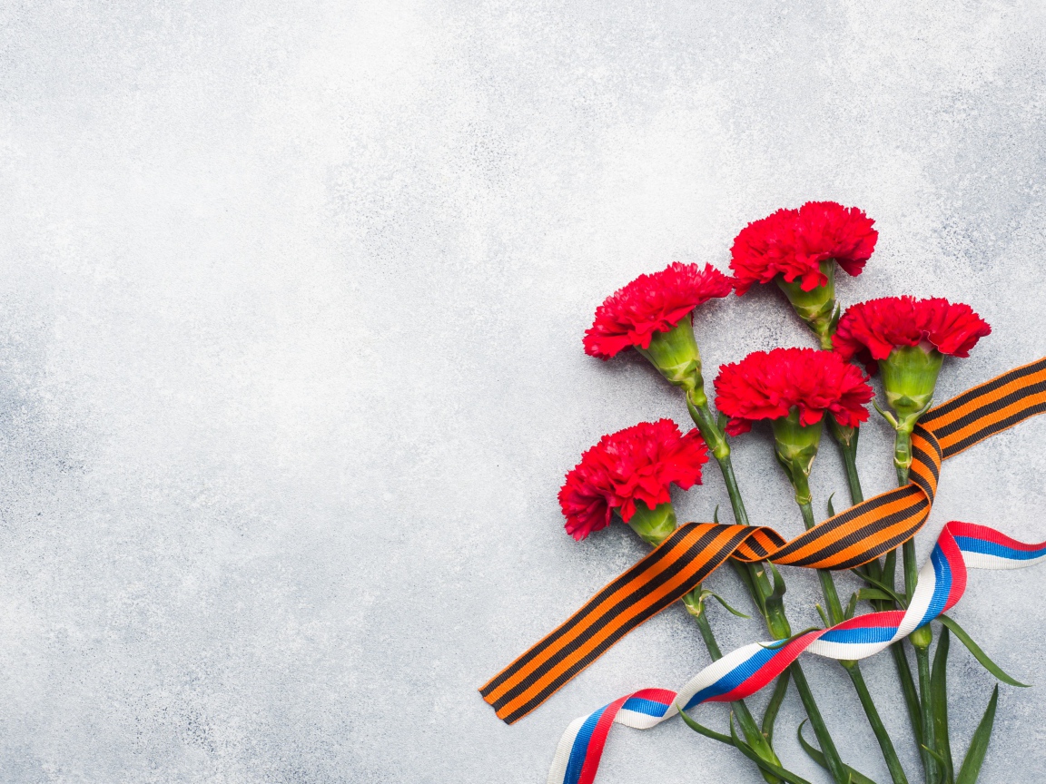 Букет гвоздик с ленточками, фон на День победы 9 мая