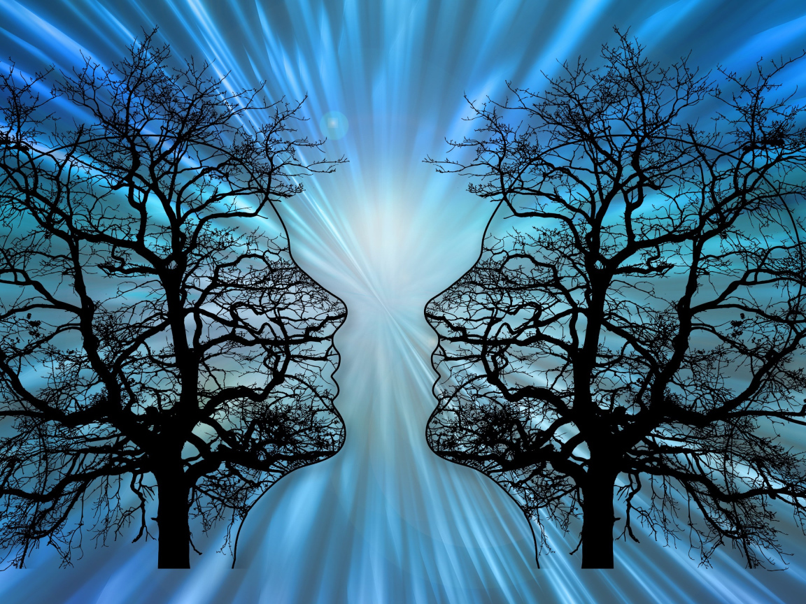 Два силуэта на опавших деревьях